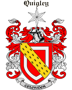 quigley family crest